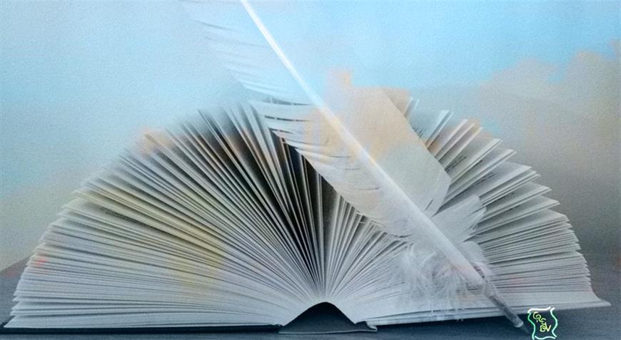 Windsor Fringe tweet media