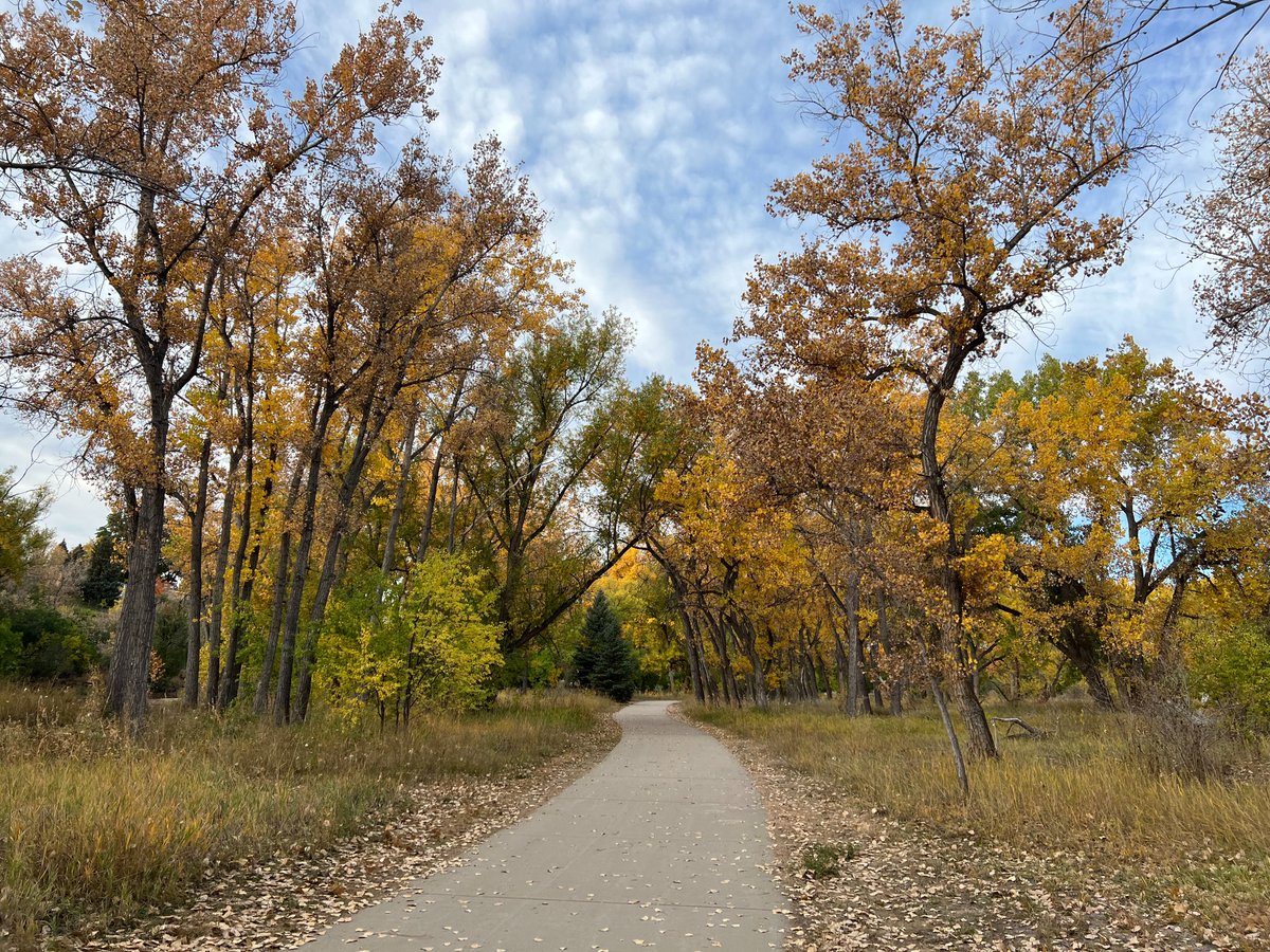 Fall colors are starting to appear - be sure to visit our beautiful parks to enjoy the fall foliage while it's here!🍂

📷Clear Creek Trail - Wheat Ridge, CO
#wheatridge #wheatridgeco #wheatridgecolorado #fallorado #coloradofall #wheatridgeparks #coloradotrails #coloradoparks