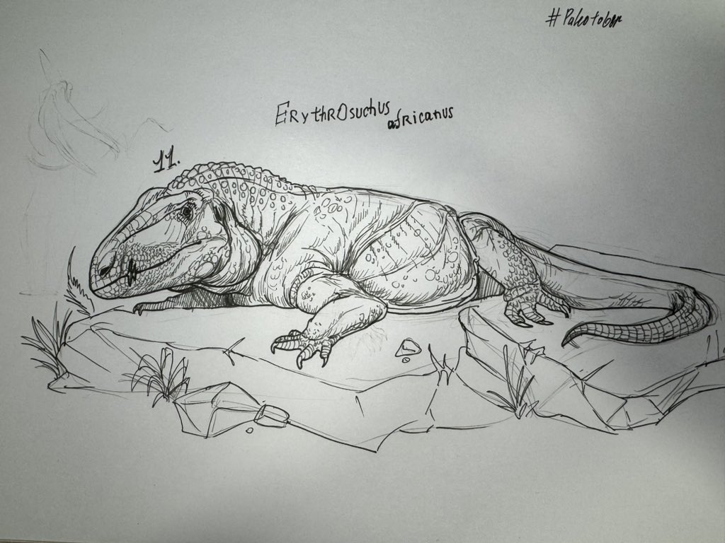 Mr.LeCroc tweet media