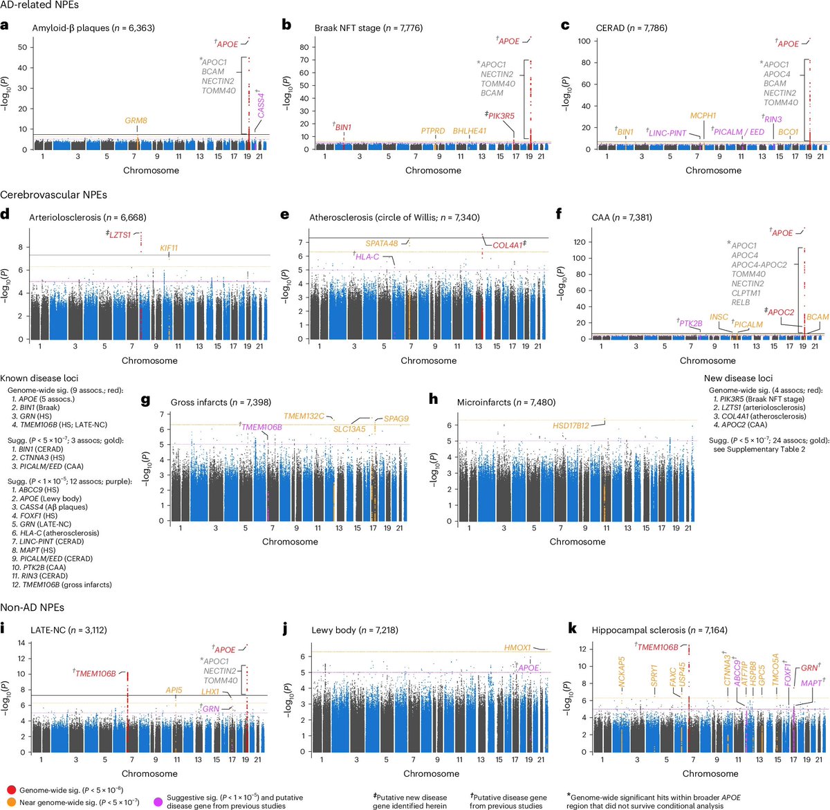 Marios Georgakis tweet media