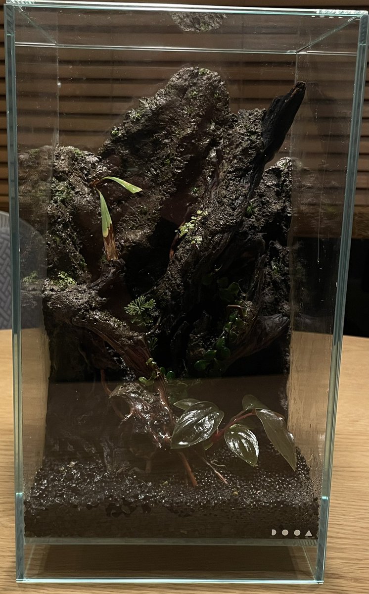 リーソクパルダ

#我慢できねえ 
#反射エグい 
#パルダリウム 
#パルコレ 
#パルダリウム愛好会