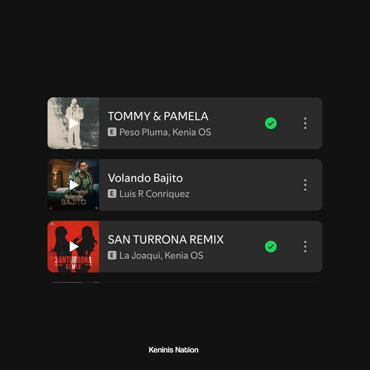 "San Turrona REMIX" de La Joaqui y @KeniaOS ha sido agregada a la playlist de Spotify "Reggaeton Mexa" (341k) en la posición #4.