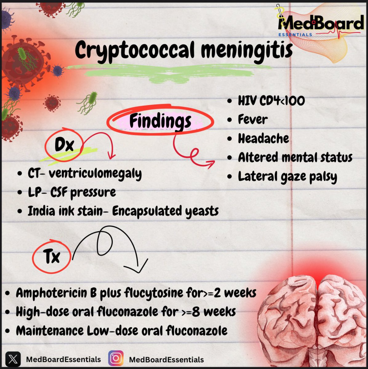 MedBoardEssent's tweet image. Cryptococcal Meningitis 🧠

. 
#Cryptococcal #Meningitis #disease #Brain #MedicalEducation #Healthcare #Medicine #MedStudents #MedicalBoardExam #USMLE #MCCQE #PLAB #AMCExaM #IFOM #FMGE #MRCP #MedStudentLife #BoardExamPrep #MedEd #MedTwitter #MedBoardEssentials #MedicalLearning