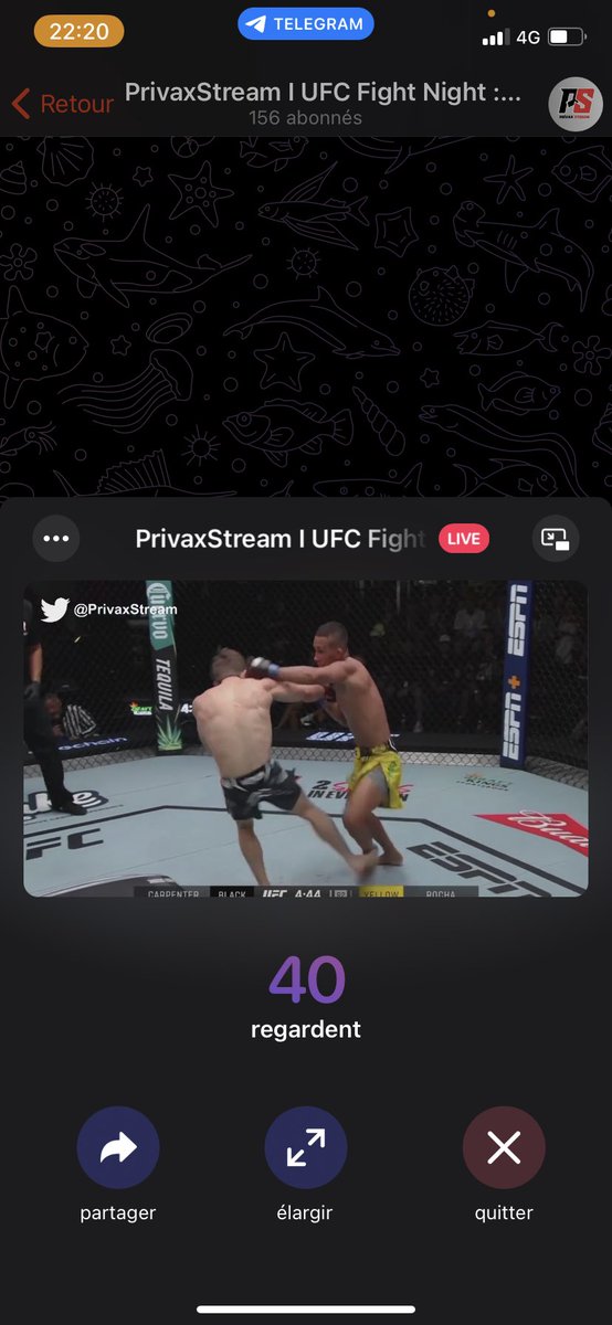 PrivaxStream 🏴‍☠️ tweet media