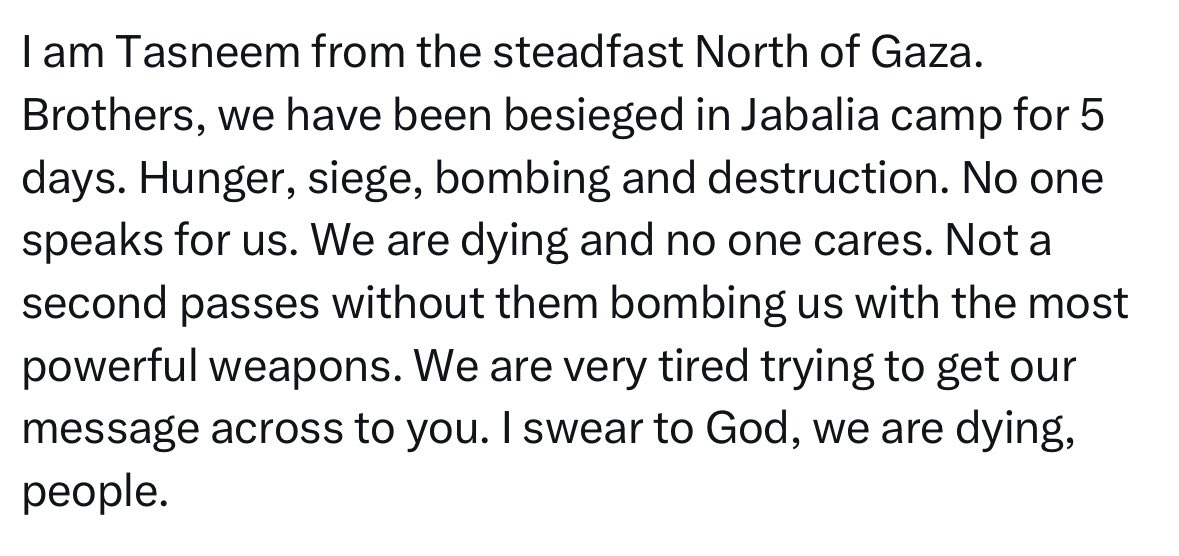 The is what she tweeted before the Israeli military murdered her.