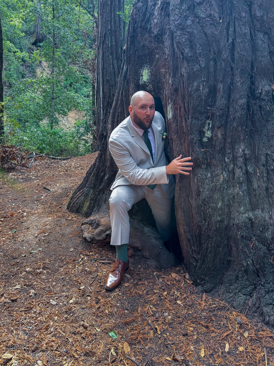 violent_bear's tweet photo. Not my first hobbit hole tbh https://t.co/qG8ava2lbR