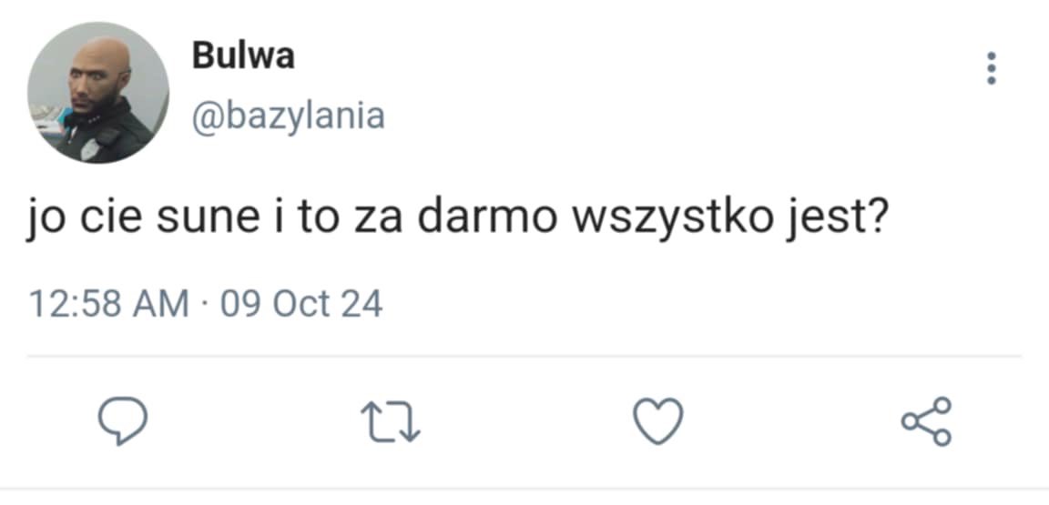 widzowie rn