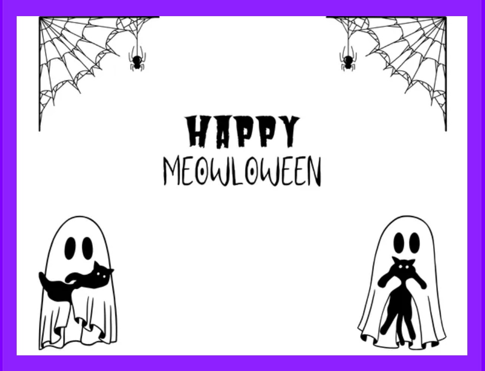 MEOWLOWEEN BOO BUNDLES! OMC! 🖤🎃💀🎃🖤
shop.rockcatsrescue.org/products/meowl…
#JAXACROCAT #ACROCATS #ROCKCATSRESCUE #HALLOWEEN