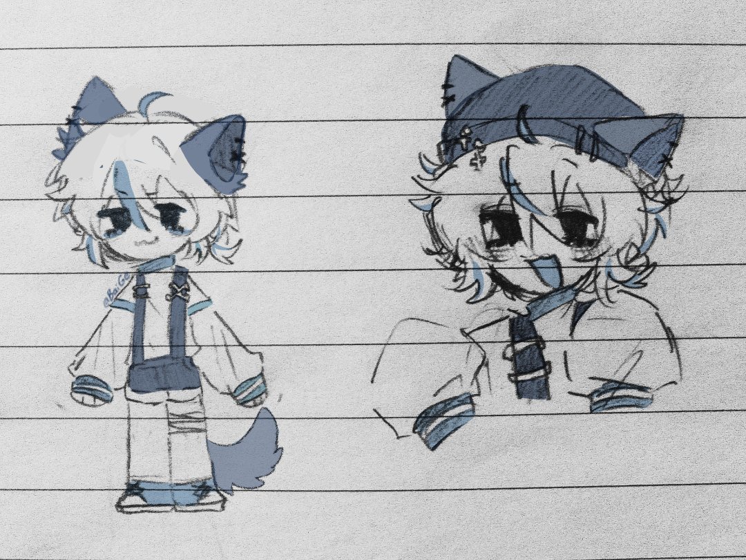 书信_白鸽 tweet media