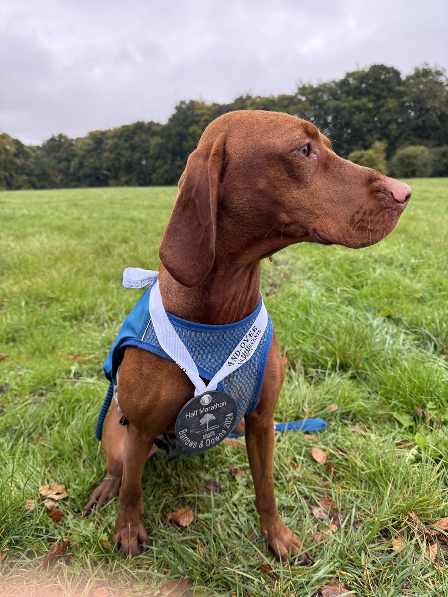 Katie Rix tweet media