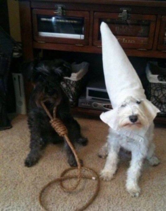 GZt77foXABEIvba?format=jpg&name=small