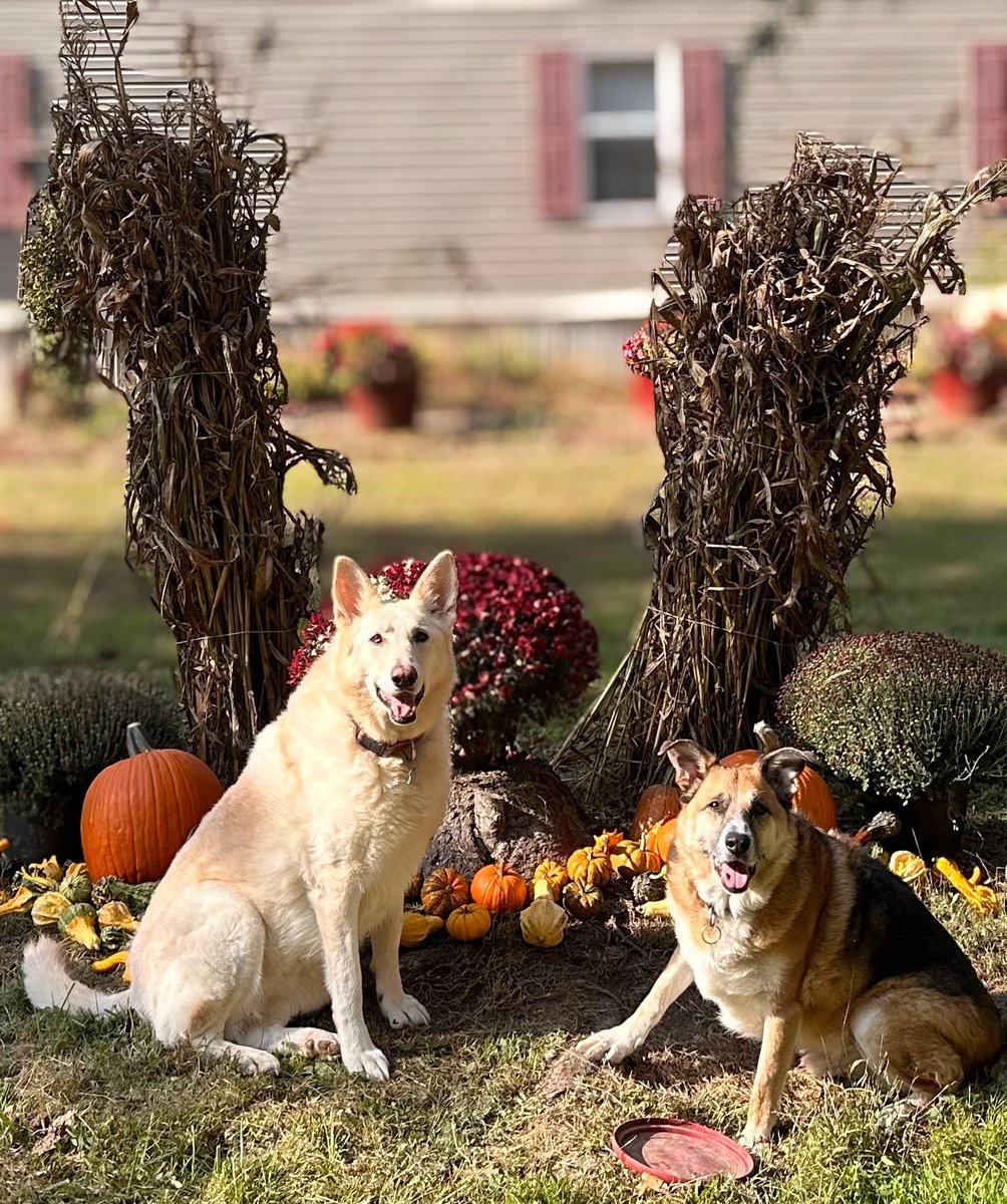 Lamictal my Balziva tweet media