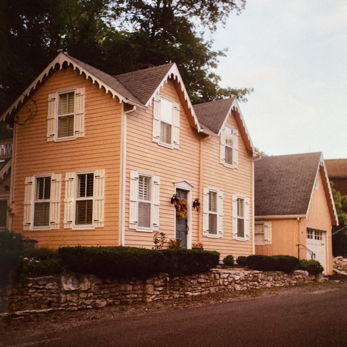 Chicken Joe 🐔 tweet media