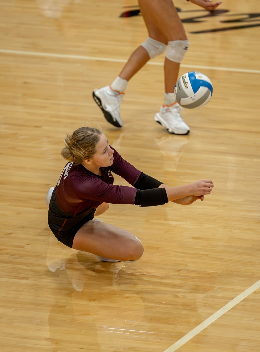 Brett P. Foley Photography tweet media