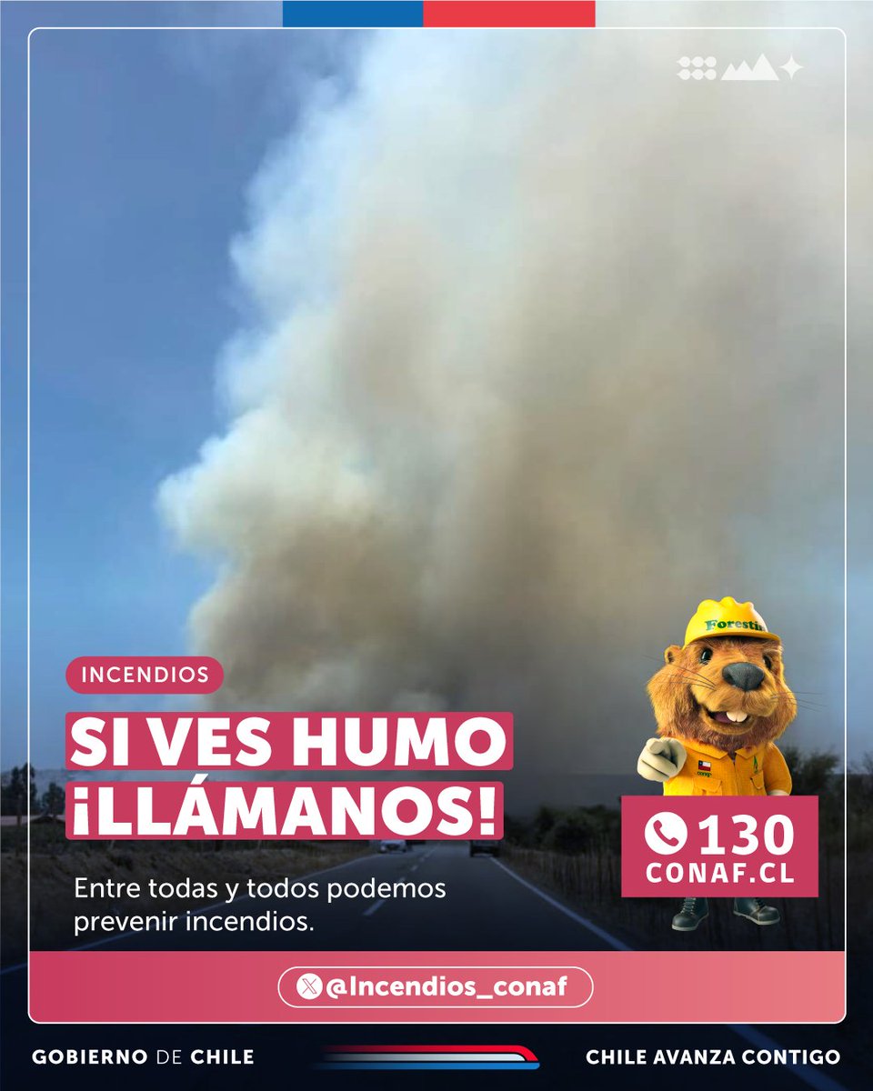 incendios_CONAF's tweet photo. ⚠️Si ves humo en zonas con vegetación, cerros o bosques, llama al 📲 130 #CONAF
Ayúdanos a prevenir #Incendios:
🚫🔥No uses fuego al aire libre
🚫🚬No arrojes fósforos ni colillas encendidas
🚫💥Extrema las precauciones al utilizar herramientas o maquinarias que generen chispas https://t.co/55NZnSoxCf