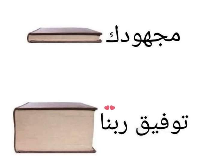 Arab Memes tweet media