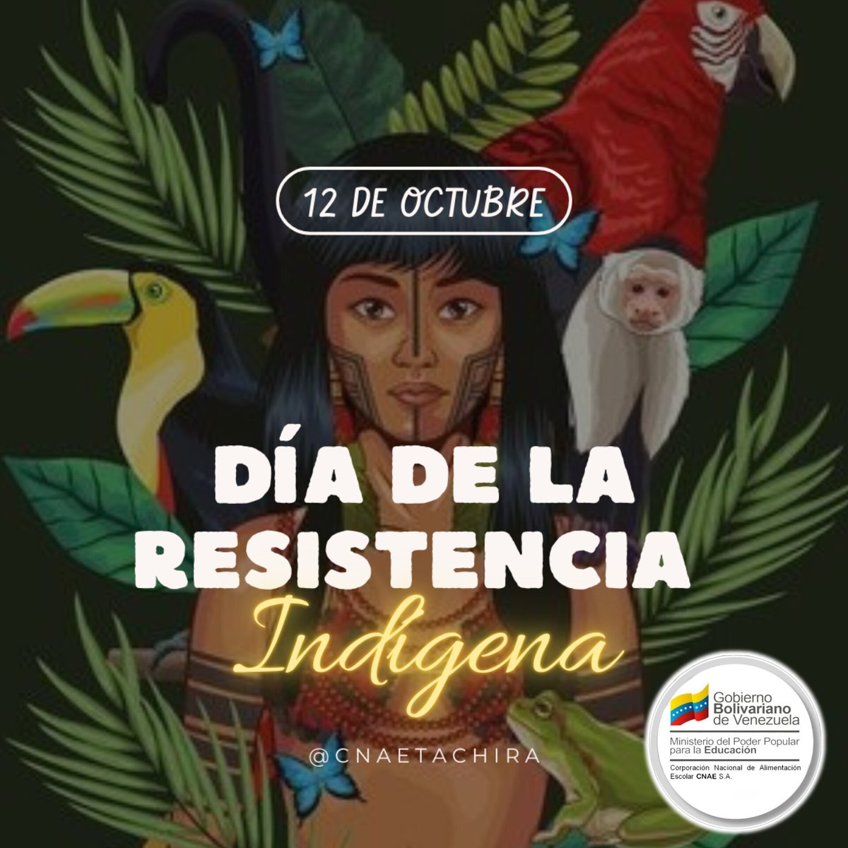 Un reconocimiento y gratificación a la resistencia de todos los pueblos indígenas por defender sus territorios, culturas, lenguas y formas de vida. Una acción incansable que durante más de 500 años ha sido el fundamento que salvaguarda la existencia indígena en el continente.