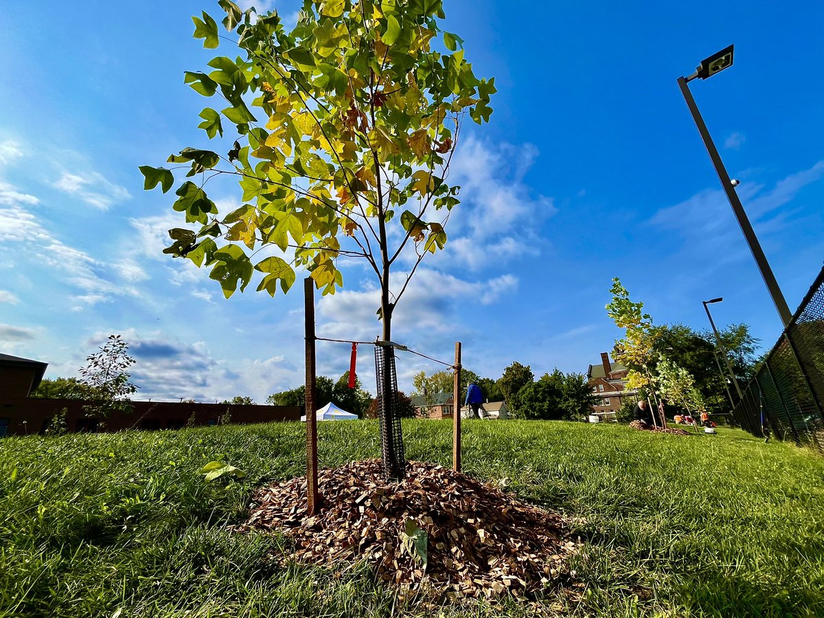 30 trees added to Wilson Elementary in St. Clair Superior this morning. Join us next week for Part 2: wrlandconservancy.org/event/communit… 
@WRLConservancy