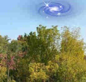 🐪🐫☀*bl𐐁3z*🐊🌛🥨ဗီူဗ🥯،̲،̲◜◞ 𑁍 ࣪˖ ♡،̲،̲ ≀｡˚°🥣 (@420lluja) on Twitter photo 