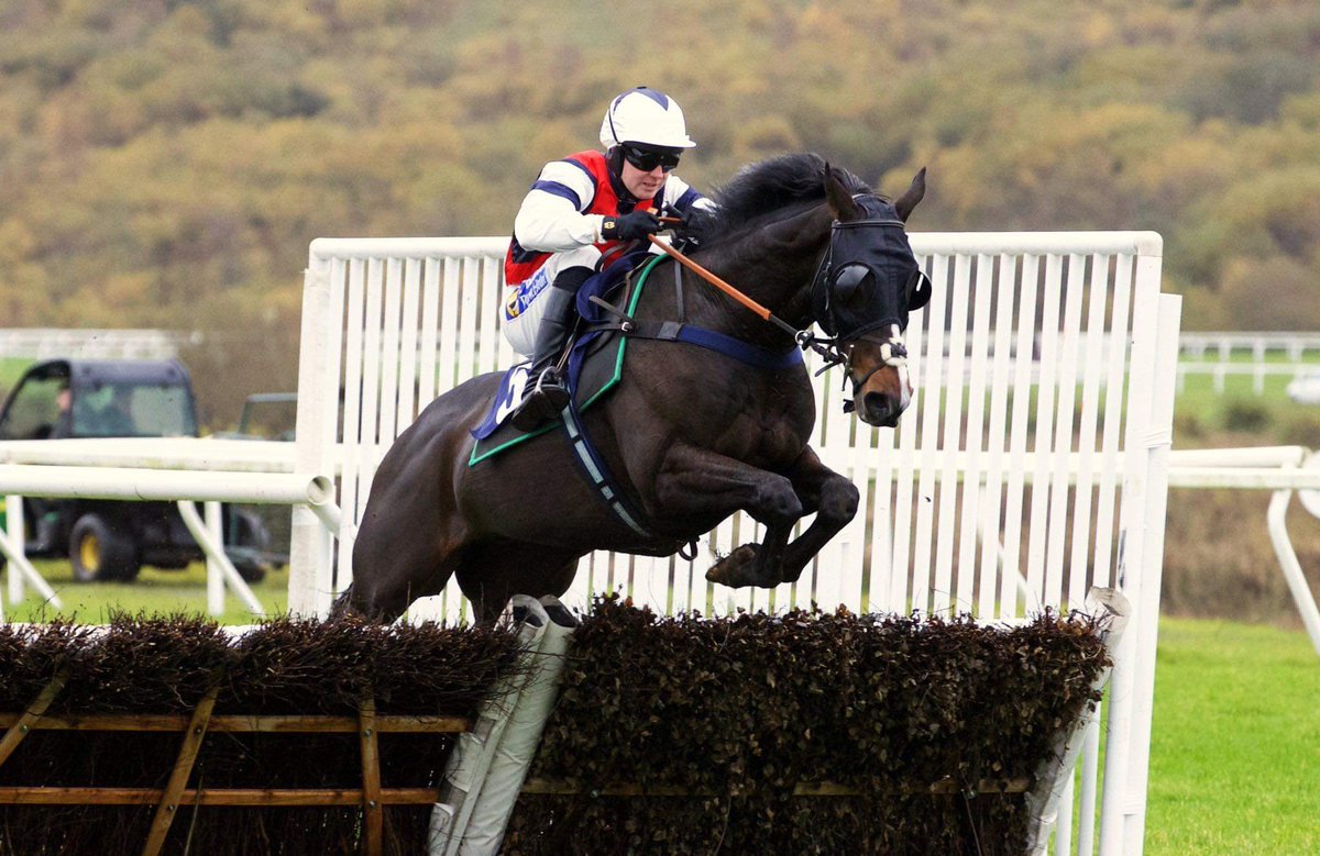 Lauren Phillips tweet media