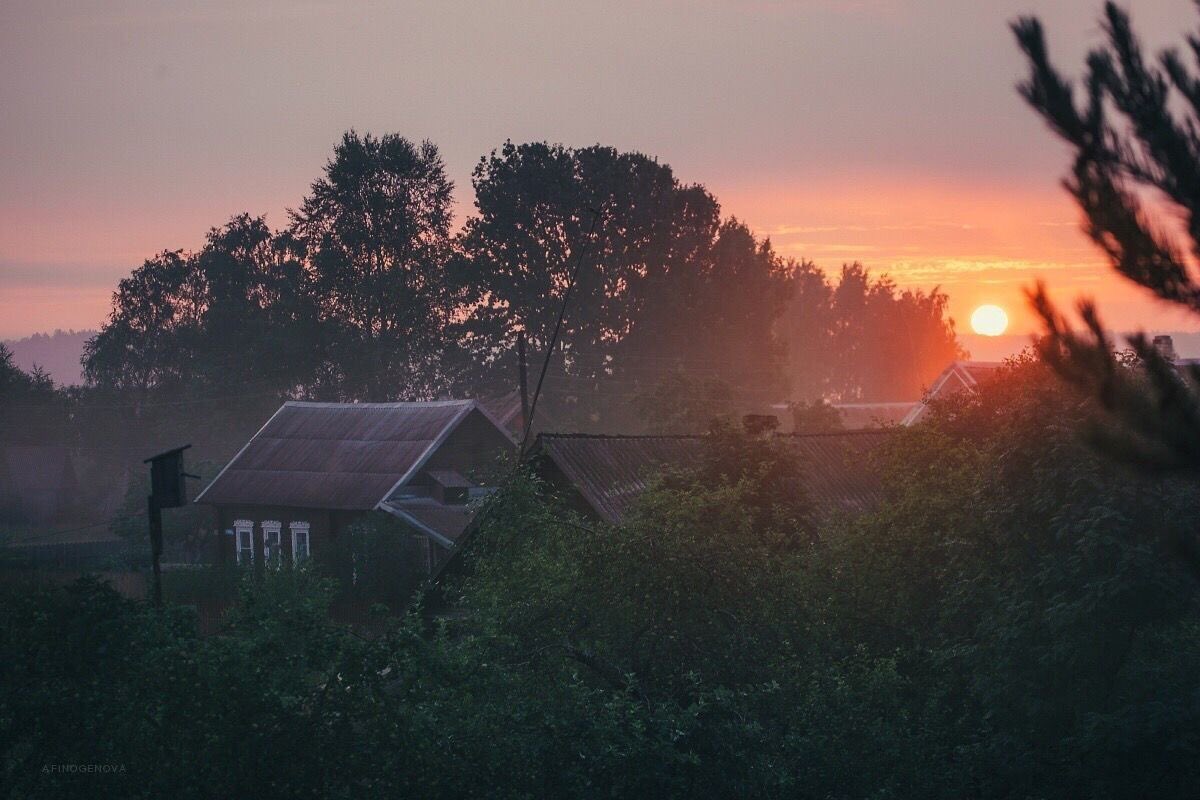 ๐ต๐๐๐ tweet media