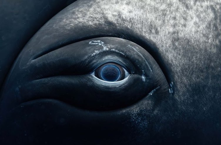 majnunsheart's tweet image. elle avait toute la galaxie dans les yeux