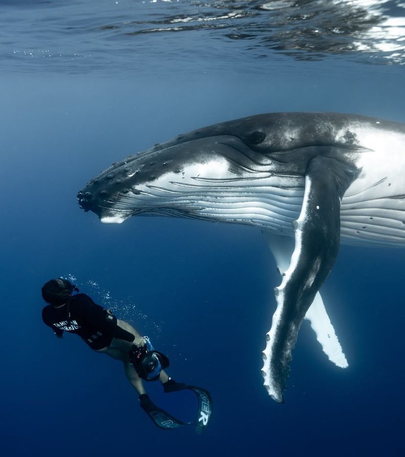 majnunsheart's tweet image. elle avait toute la galaxie dans les yeux