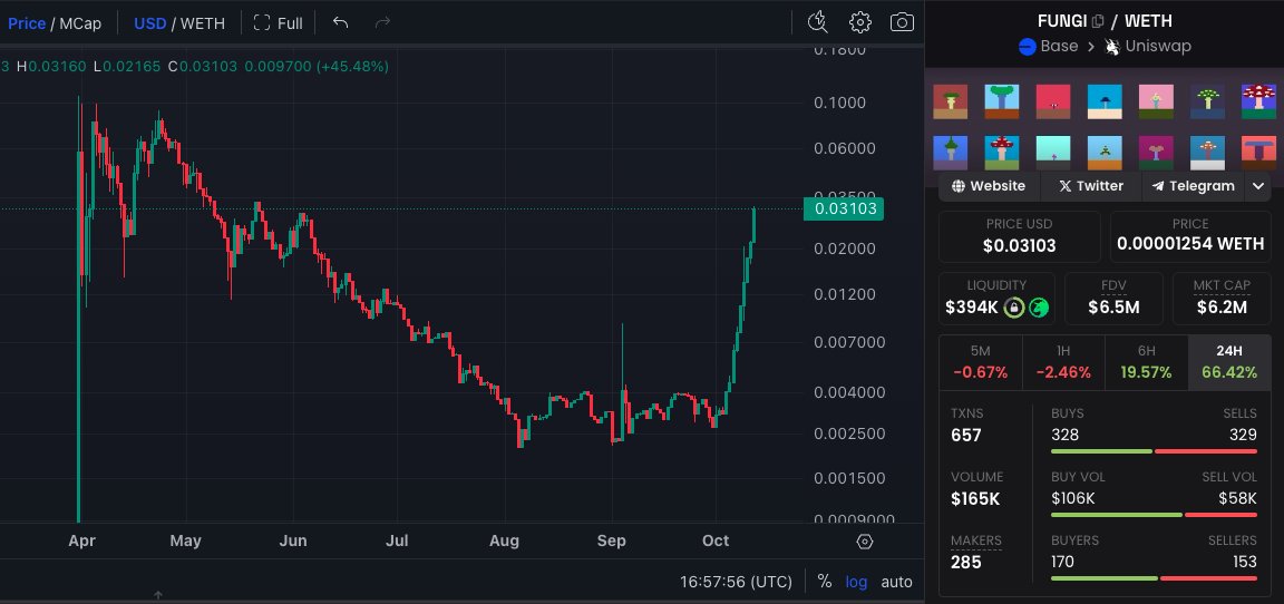 $FUNGI is up almost 10x in the last 2 weeks 🚀🚀 #ERC20i tokens might be the play as more people catch on. I hope you all have some exposure! Its still below ATH and currently at a 6.2M mc. Heres a list of other #based ERC20i tokens 🔵🧵: