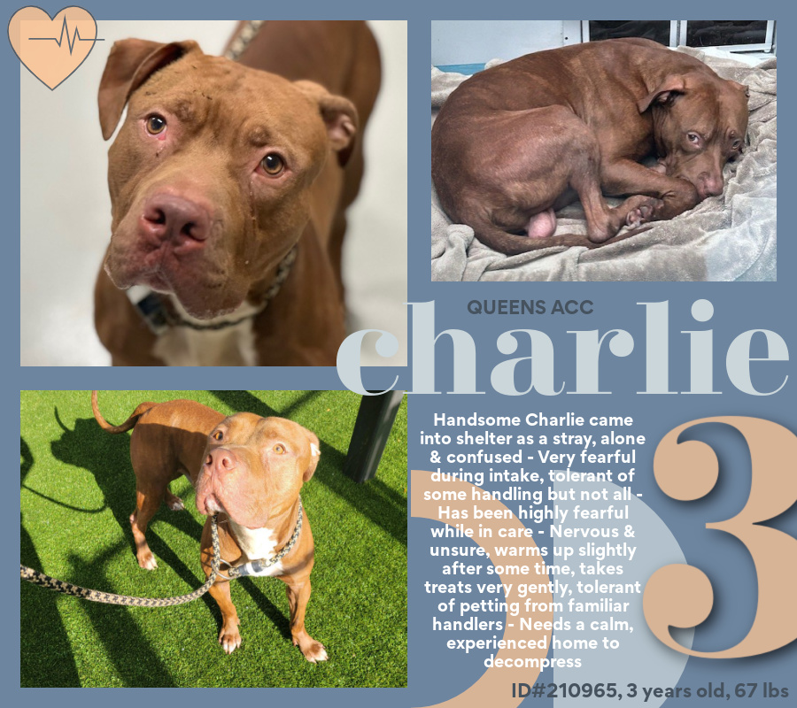 Not the Same tweet media