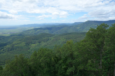 Dans un contexte où la préservation de nos #forêts est plus que jamais cruciale, la Fédération nationale des Communes forestières s’oppose fermement aux projets de suppression de postes à l’<a href="/ONF_Officiel/">Office national des forêts</a>

Consultez notre dernier CP : fncofor.fr/docs/library/c…