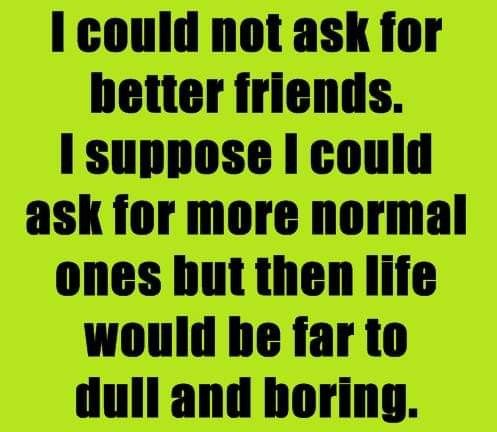 Annette 🟧🇺🇸 🏳️‍🌈 tweet media