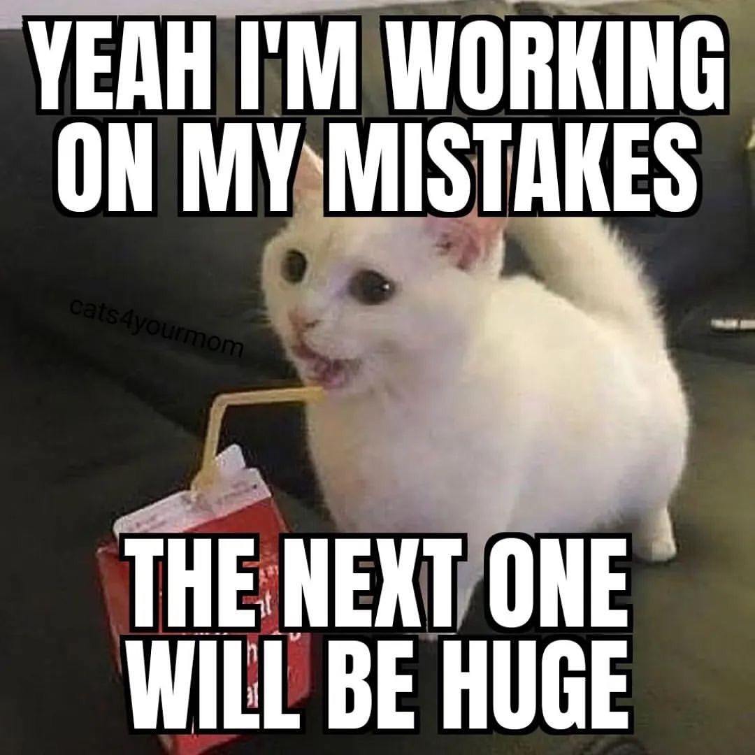 Catsillyness's tweet photo. Huge https://t.co/2qaRPb5JbF
