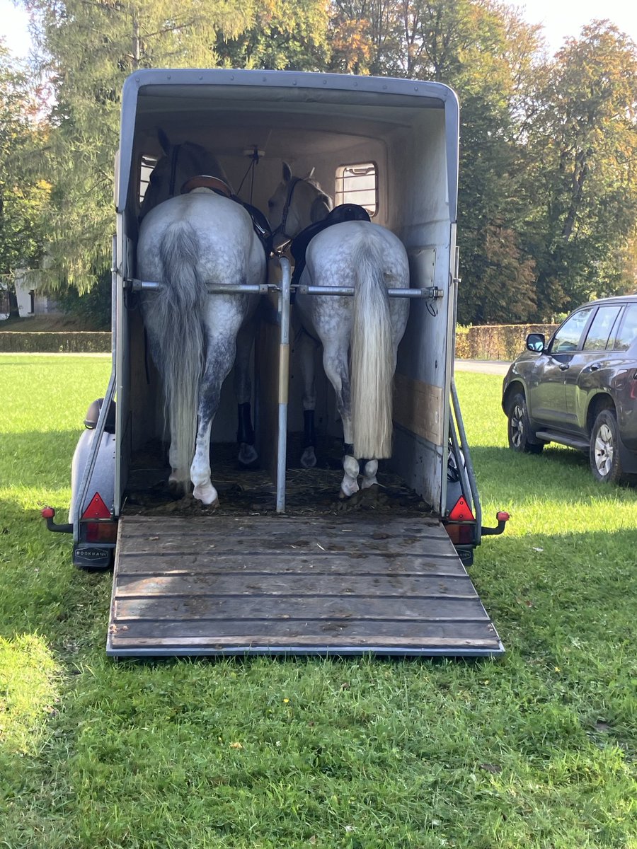 p1schoen's tweet photo. #Herrenchiemsee #Schleppjagd2024 🐎😊 https://t.co/FkwTA8acuF