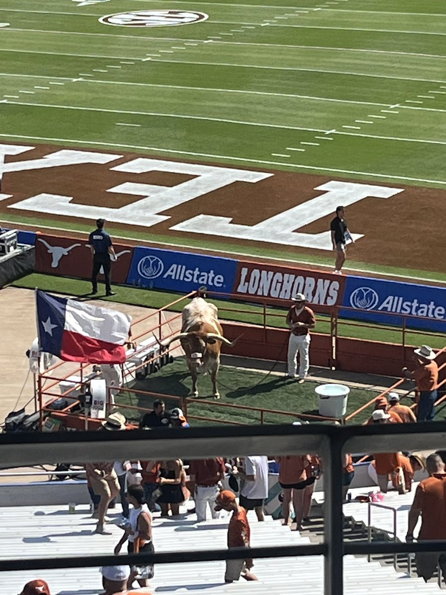 Look at this ugly ass mf