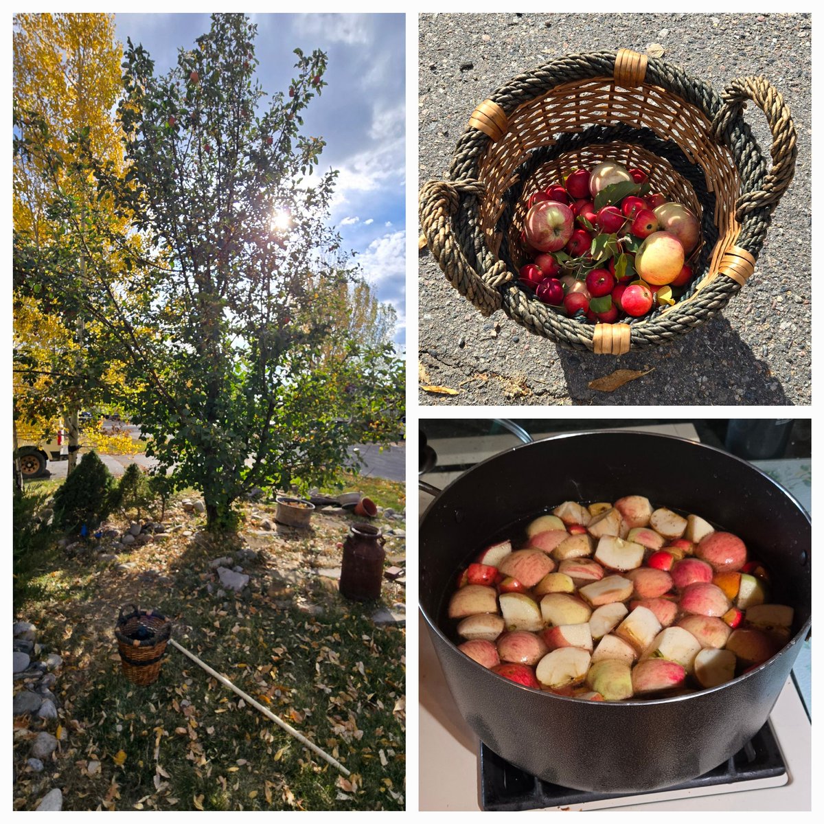 SuiRaider's tweet photo. Apple Cider Incoming βοΈπ€π¨π€ππ#MACKitchen #CasaDeCycoStoner https://t.co/LLG8fxU8K3