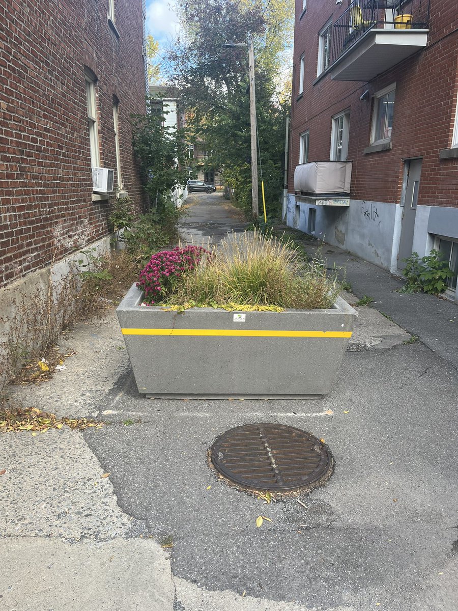 ChanceUnique1's tweet photo. La guerre à l’auto ca marche! J’ai pu constater pendant ma promenade à vélo ce lourd trafic sur Papineau Sud en plein pm du Samedi de l’Action de Grâce! C’est parfait, ca va les décourager!!
D’autres beaux gestes de @projetmontreal aussi pour apaiser la circulation #polmtl https://t.co/jIdu9FqS4H