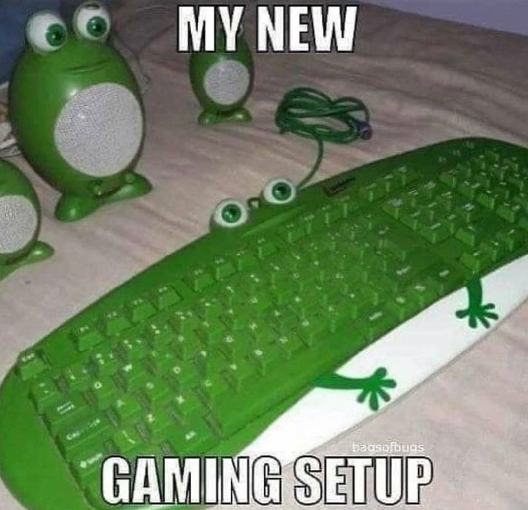 No Context Frogs (@nocontextfrogs) on Twitter photo 