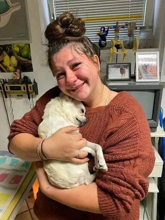 Mr Commonsense (@fopminui) on Twitter photo <a href="/Morbidful/">Morbid Knowledge</a> "Our 14-year-old dog Abbey died last month. The day after she passed away my 4-year-old daughter Meredith was crying and talking about how much she missed Abbey. She asked if we could write a letter to God so that when Abbey got to heaven, God would recognize her. I told her that <a href="/Morbidful/">Morbid Knowledge</a> "Our 14-year-old dog Abbey died last month. The day after she passed away my 4-year-old daughter Meredith was crying and talking about how much she missed Abbey. She asked if we could write a letter to God so that when Abbey got to heaven, God would recognize her. I told her that