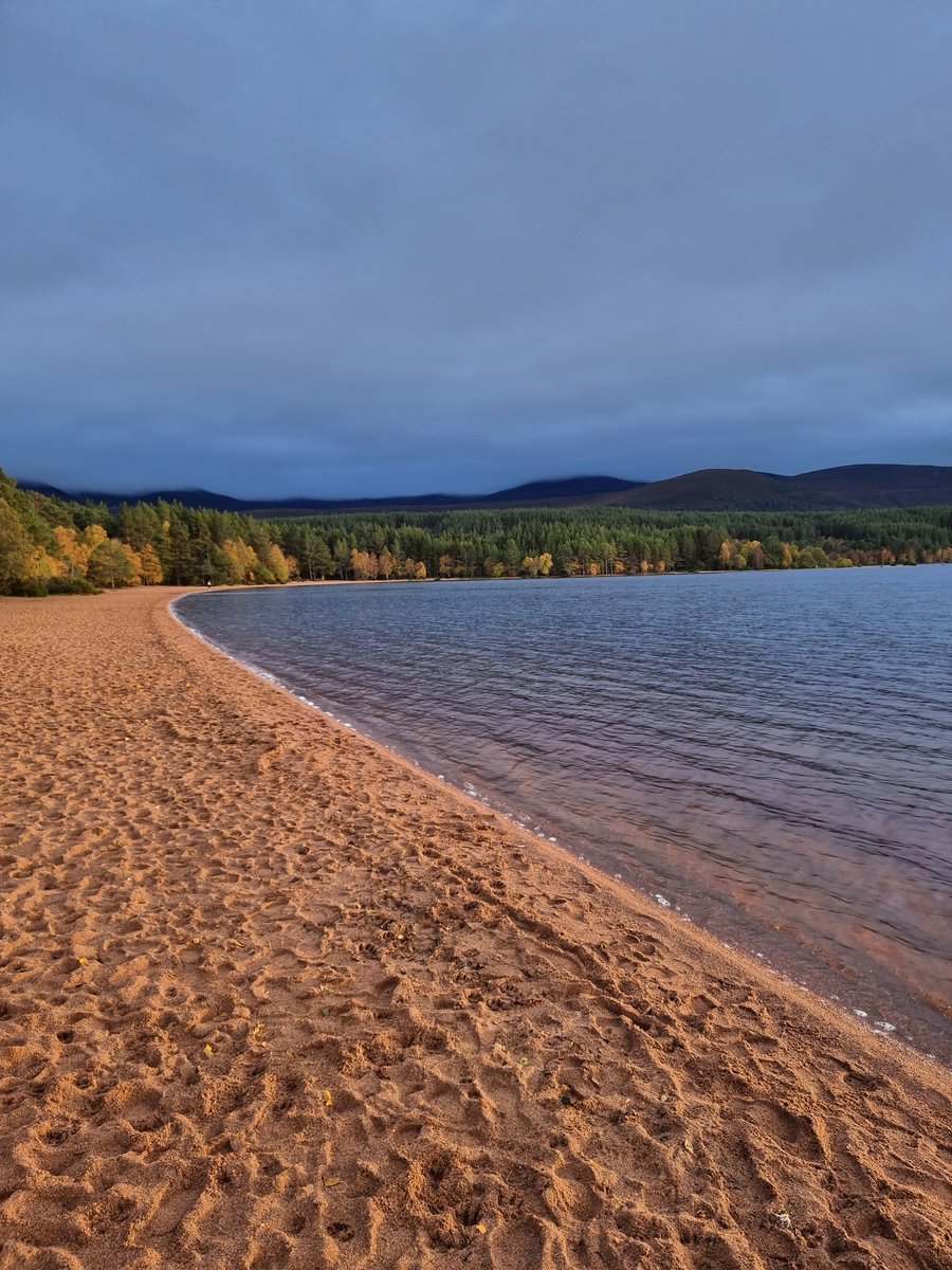 Adam Nutter (@nutter_adam) on Twitter photo Scotland is so beautiful ❤️❤️ Me and Mrs Nutter <a href="/JoanneNewby86/">Joanne Nutter</a> are on our honeymoon on the nc500. Currently at Glenmore. We arrived just in time for the most beautiful sunset I've ever seen x Scotland is so beautiful ❤️❤️ Me and Mrs Nutter <a href="/JoanneNewby86/">Joanne Nutter</a> are on our honeymoon on the nc500. Currently at Glenmore. We arrived just in time for the most beautiful sunset I've ever seen x