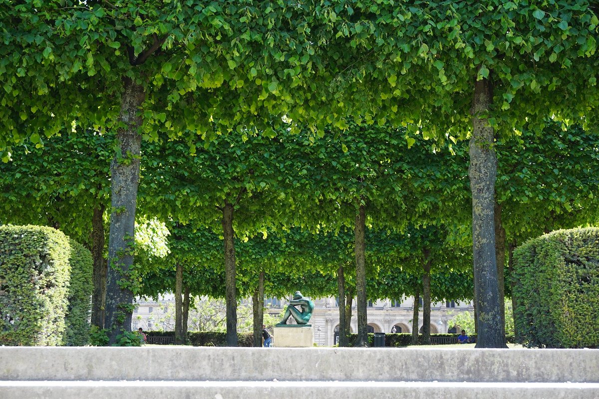 MayaPont's tweet image. 