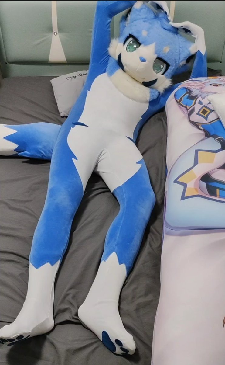 天气太冷了，小狗也长了点毛很暖和🥺（甚至不用盖被子）