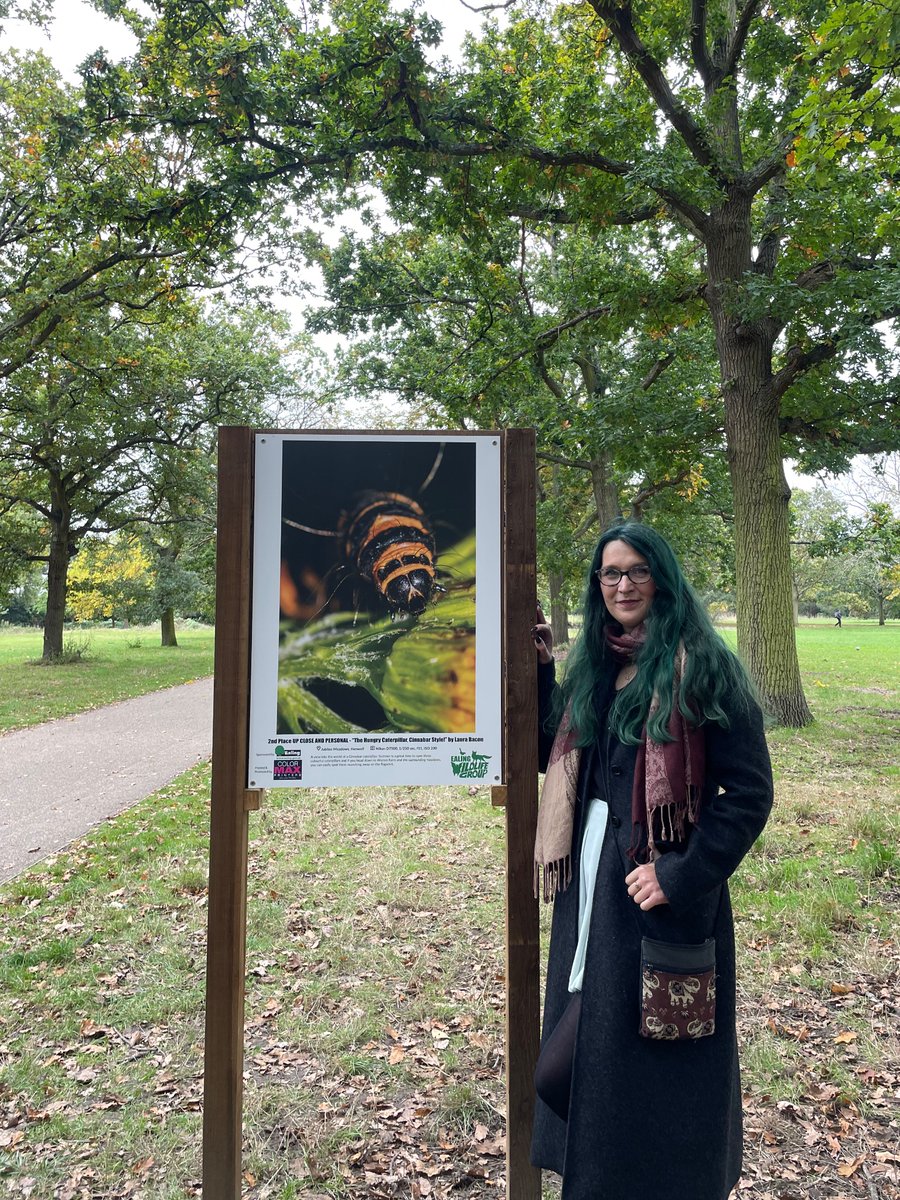 Laura 🌻 tweet media