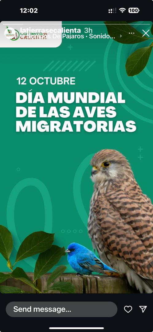 #DiaMundialDeLasAvesMigratorias
 12 Oct, se celebra este día con uno de los eventos de observación de aves más grande del mundo, el #OctoberBigDay, iniciativa de la Universidad de Cornell

Miles de observadores en todo el planeta, recogen datos y  contribuyen a la ciencia...