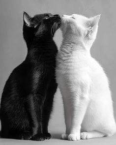 marta linaza tweet media