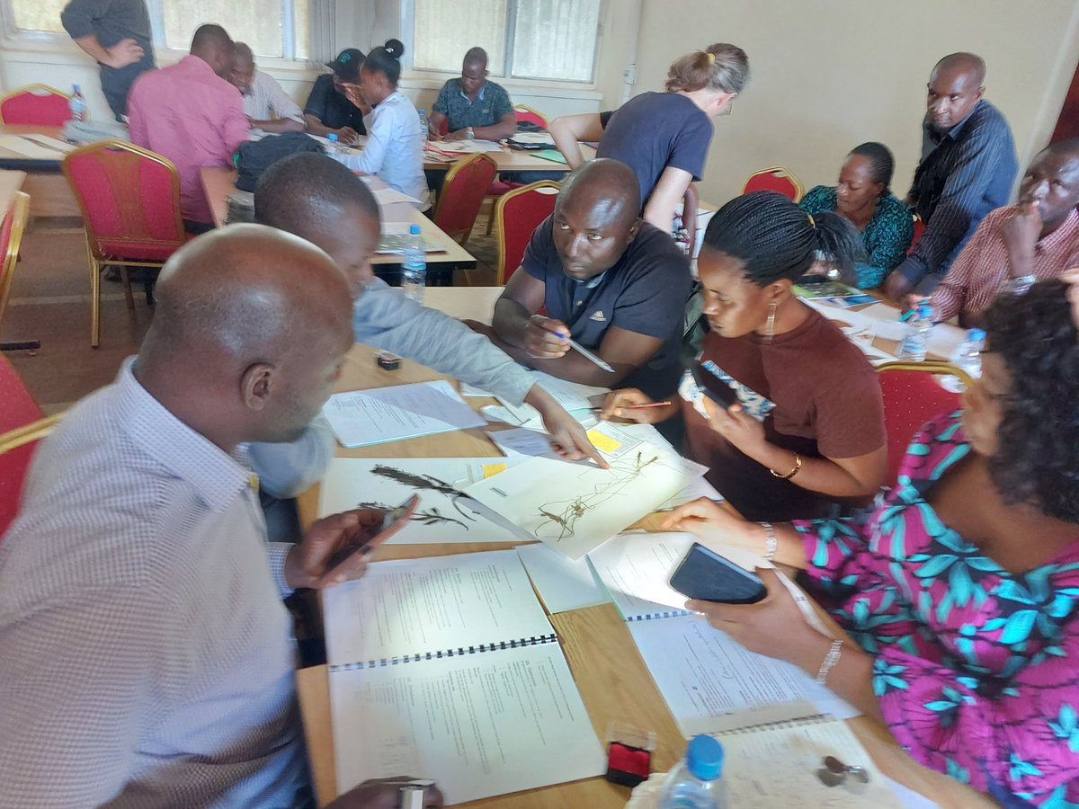 Ana Rita Simões tweet media