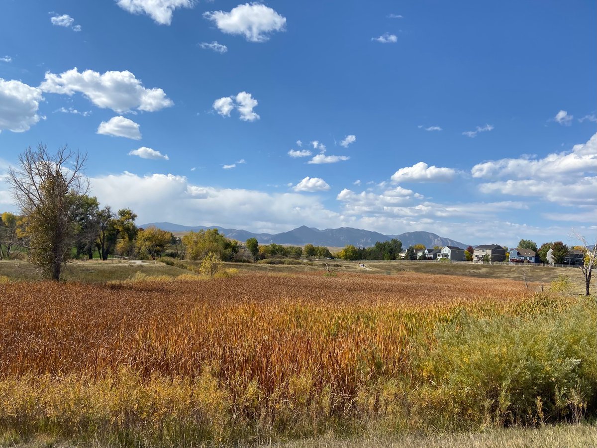 Gorgeous day in the neighborhood.