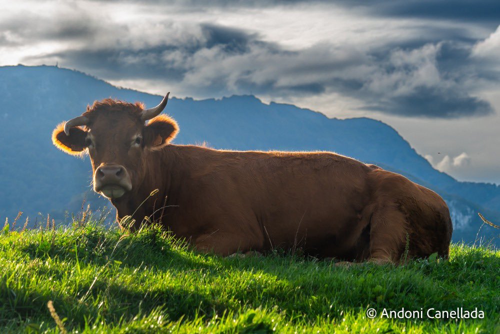 Ilunabarra hego haizearekin Alkizan