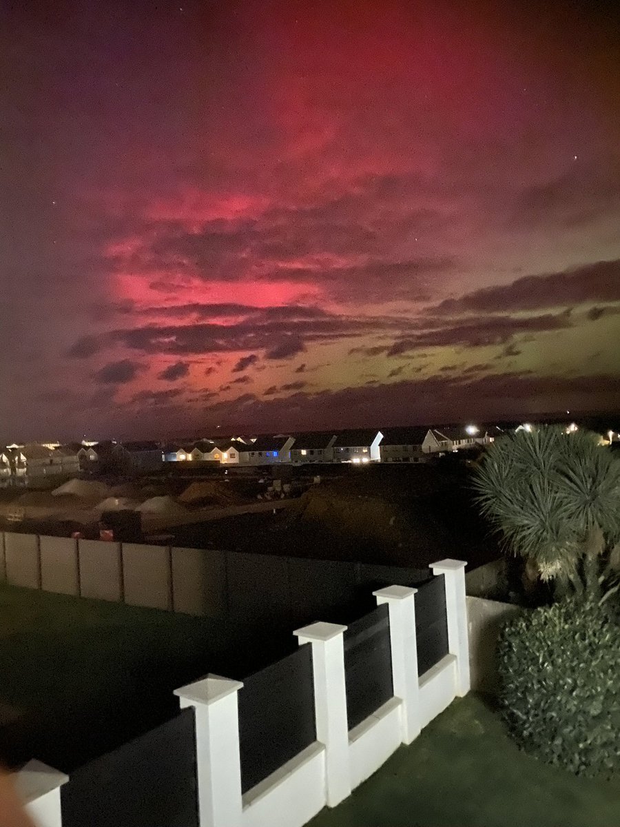 michael wilson tweet media