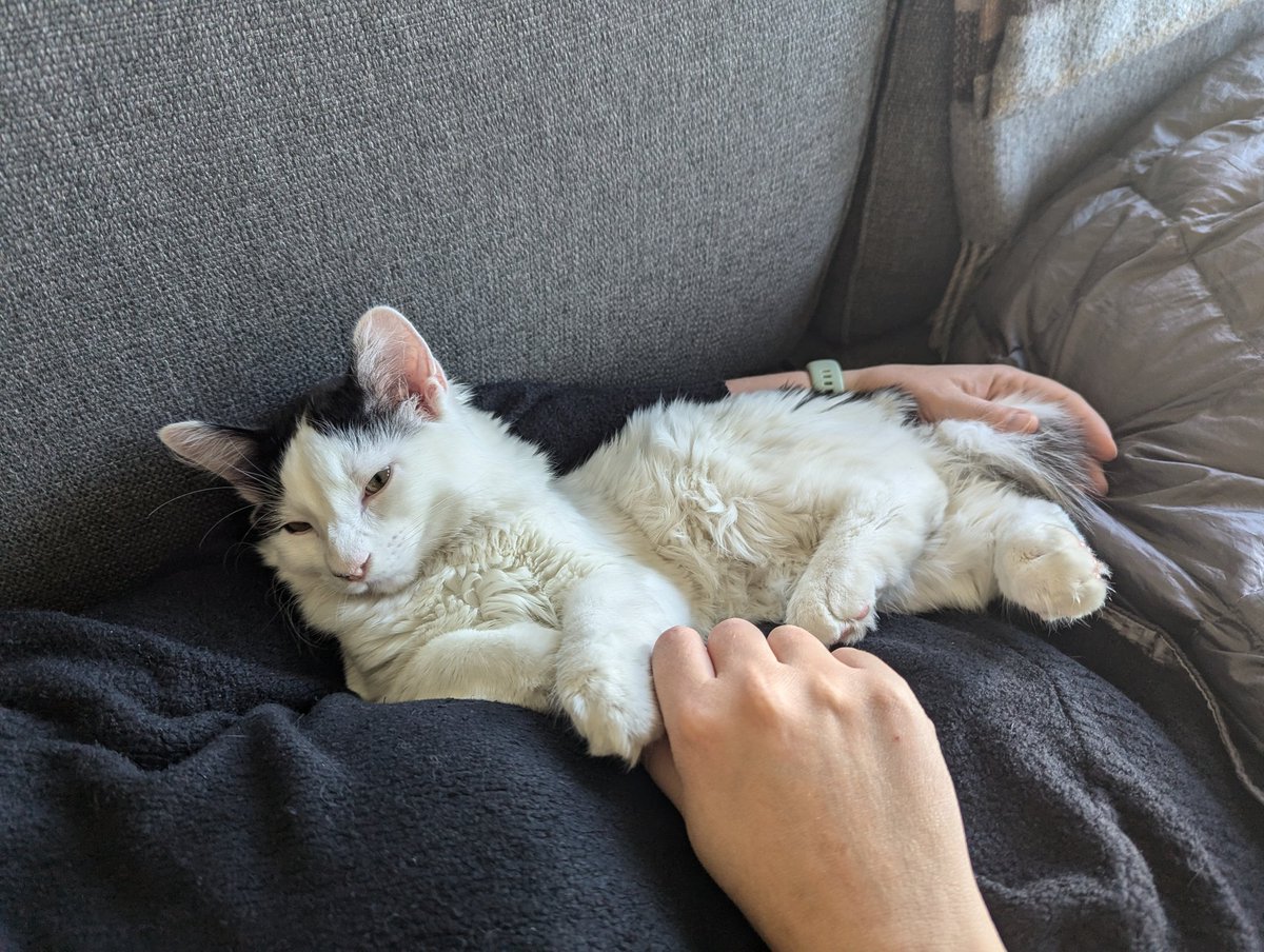 I'm going to stream! (That's good) Because my wife is sick and sleeping (that's bad). The stream comes with sprinkles! (That's good) The sprinkles contain potassium benzoate
..
..
..
..
..
(That's bad)

Riff 2 3:30pm Mountain Time