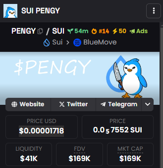 PENGY_ON_SUI's tweet photo. $PENGY #14! 200k SOON https://t.co/Yka0JZSlES